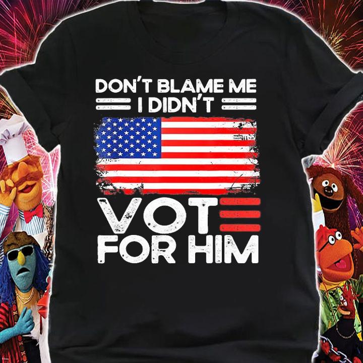 Anti Biden Don't Blame Me I Didn't Vote For Him USA Flag Vintage T-Shirt t-shirt