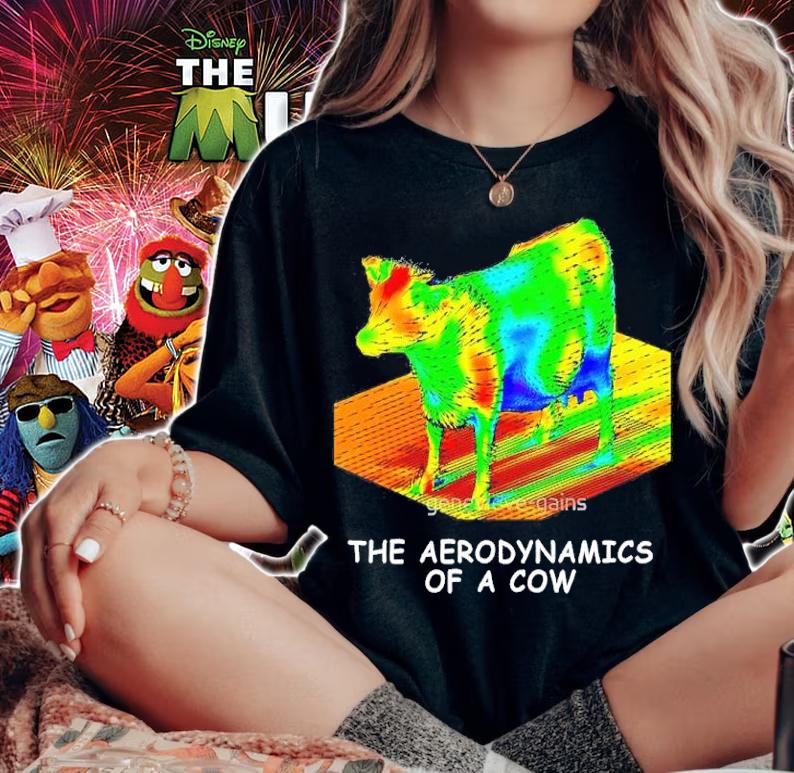 The Aerodynamics Of A Cow Shirt t-shirt
