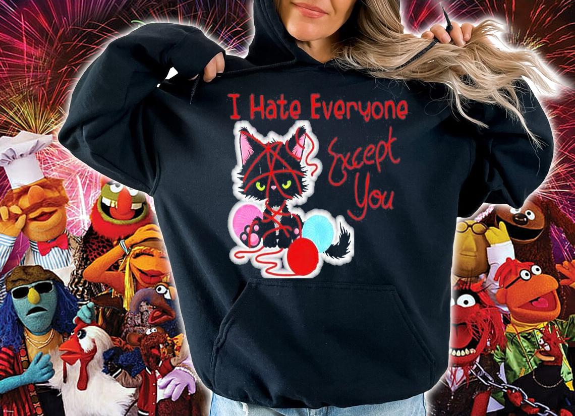 I Hate Everyone Except You Valentines Cute Cat T-Shirt t-shirt