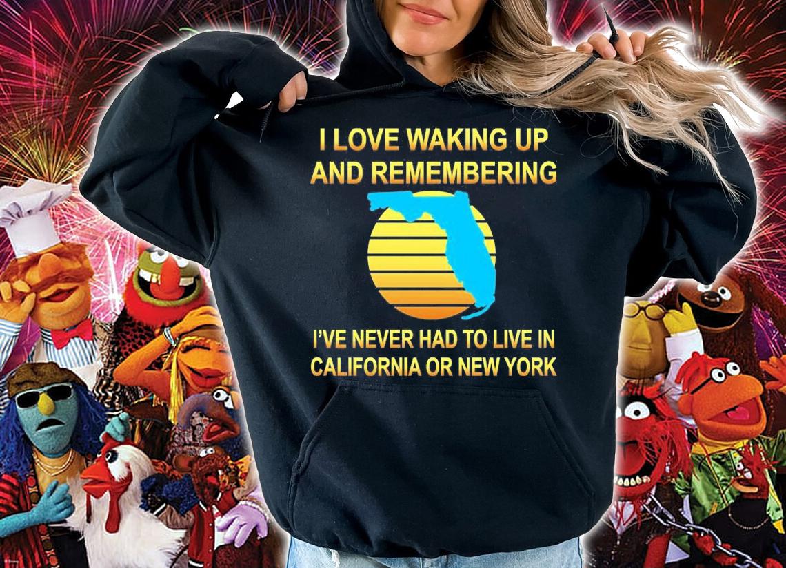 Love Never Having To Live In California or New York T-Shirt t-shirt hoodie