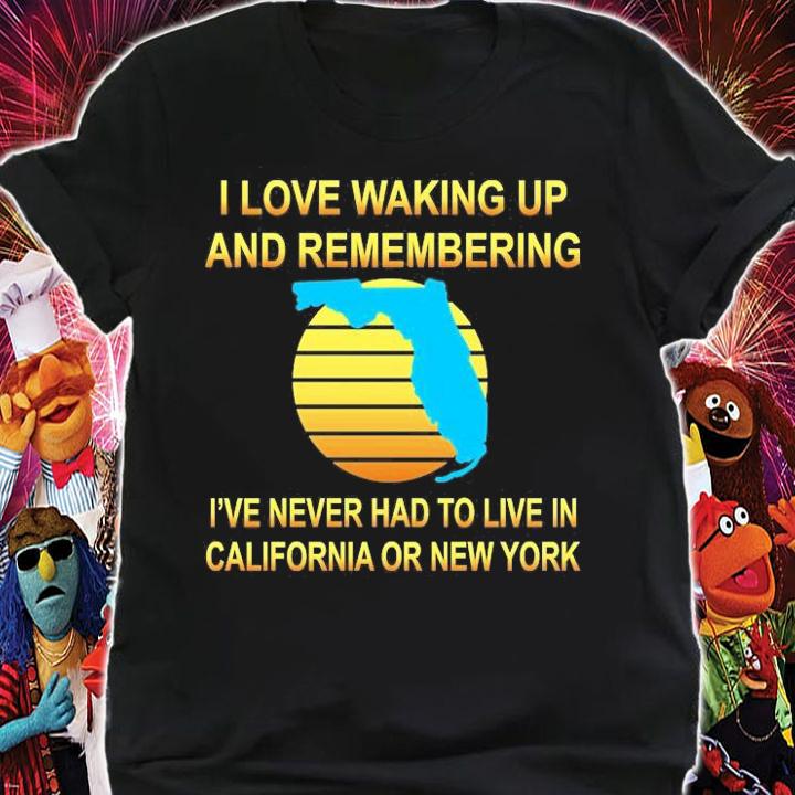 Love Never Having To Live In California or New York T-Shirt t-shirt shirt